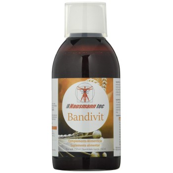 BANDIVIT JARABE 250ML...