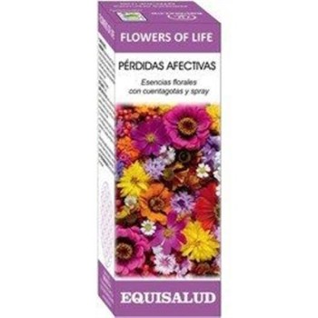 FLOWER OF LIFE PERDIDAS...