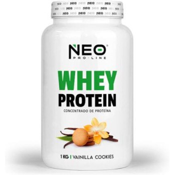 WHEY PROTEIN 1 KG VAINILLA...