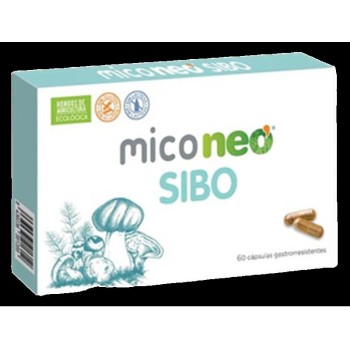 MICO NEO SIBO 60CAPS NEO