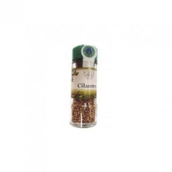 CONDIMENTO CILANTRO GRANO...