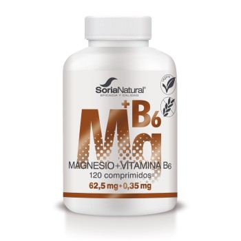 MAGNESIO VIT. B 6 120COMP...