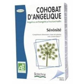 INFUSION DIGESTIVA 20SOBR...