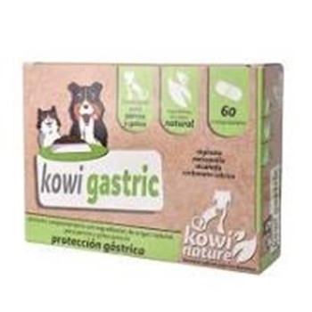 KOWI GASTRIC 60COMP     KOWI