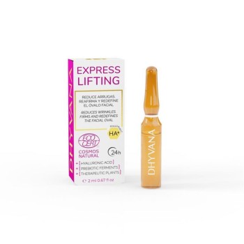 EXPRESS LIFTING  1AMP...