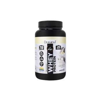 WHEY PROTEIN CONC. CHOCO...