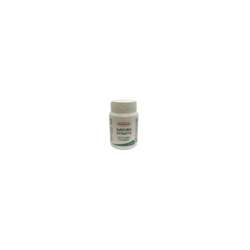 GAYUBA 60CAP    INTEGRALIA