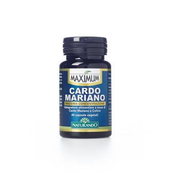 CARDO MARIANO 40CAP MAXIMUM