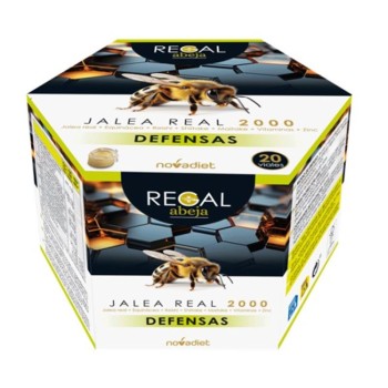 JALEA REAL 2000 DEFENSAS...