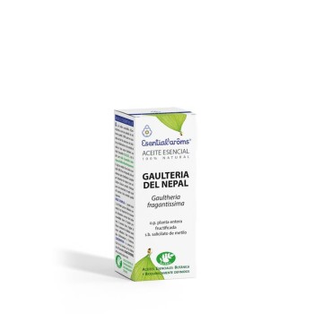 ESENCIA GAULTERIA NEPAL...