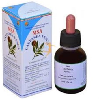 MSA CASTANEA VESCA YEMAS...