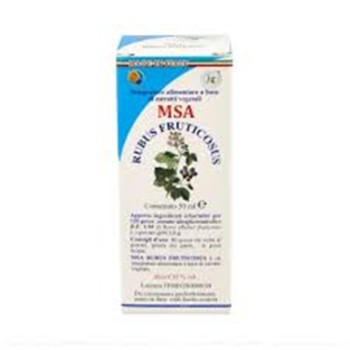 MSA RUBUS FRUCTICOSUS...