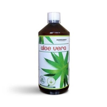 ALOE VERA PULPA?1L  BEQUISA