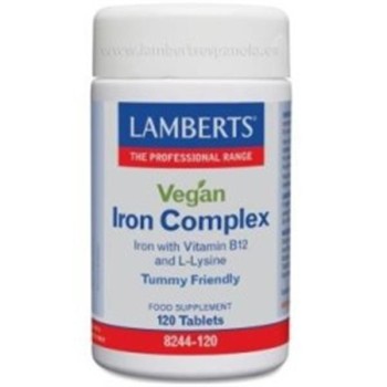 IRON COMPLEX 120TABS LAMBERTS