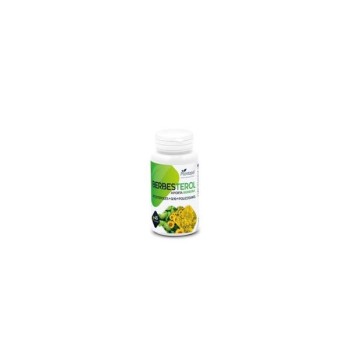 BERBESTEROL 45CAP PLANTAPOL