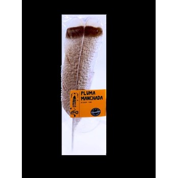 PLUMA MANCHADA 25 30 CM. 1...