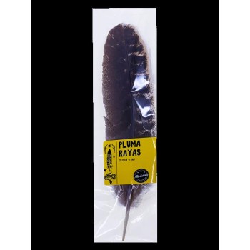 PLUMA RAYAS  20 25 CM. 1...