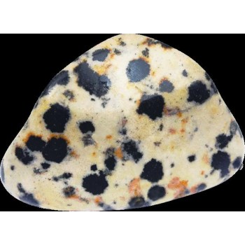 JASPE DALMATA PAQUETE 20...