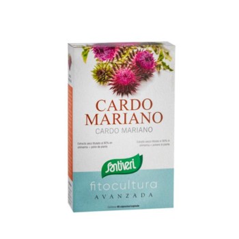 CARDO MARIANO  40CAP...