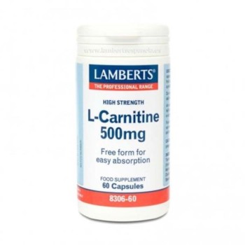 L CARNITINA 60CAP LAMBERTS