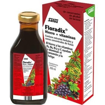 FLORADIX 250 ML  SALUS